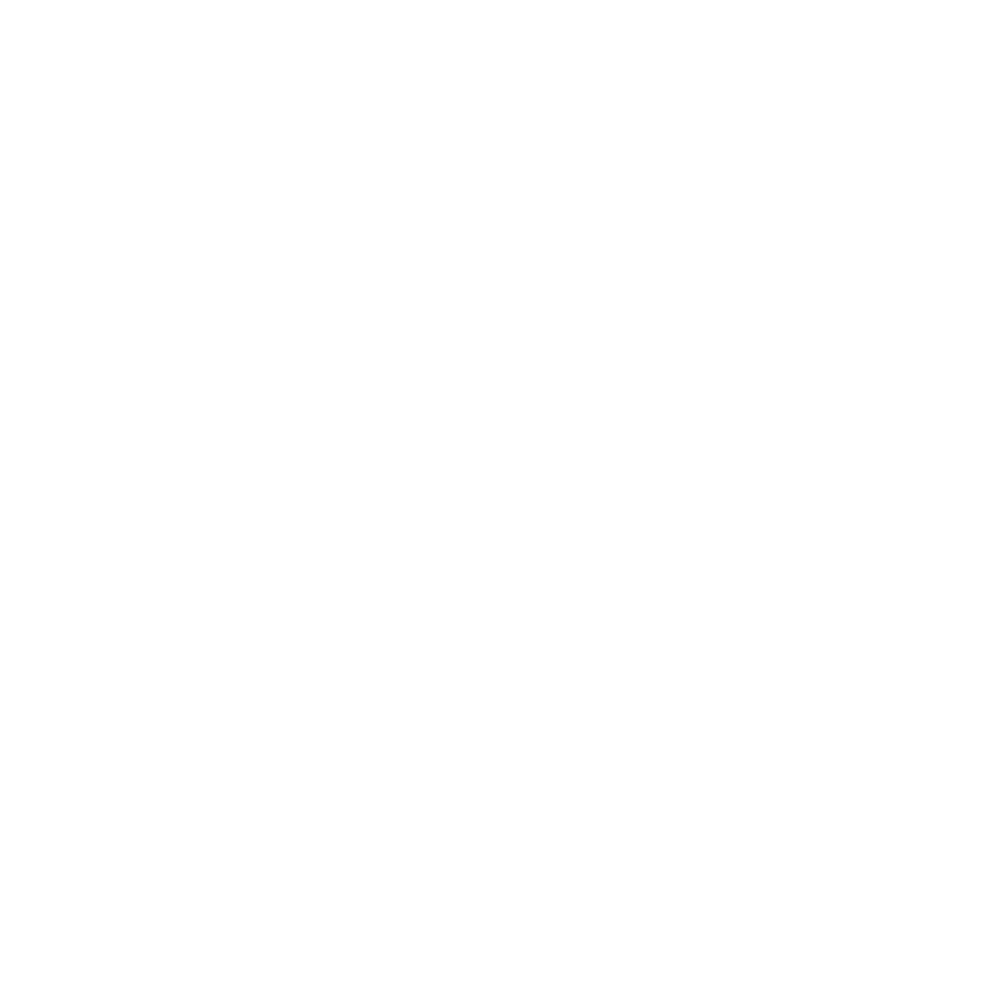 Animesh Forge