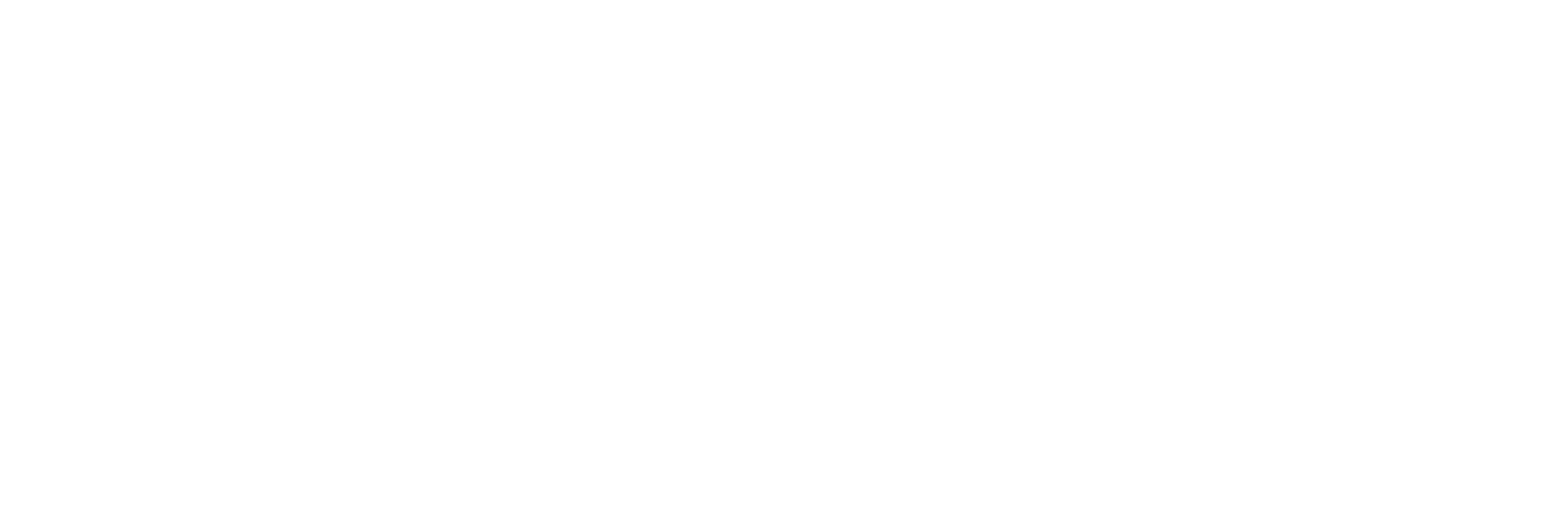 Animesh Forge